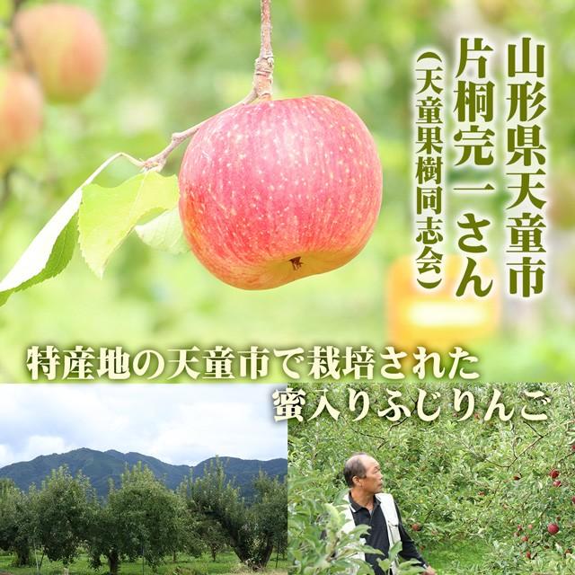 ドライフルーツ 蜜入り ふじ りんご 35g リンゴ アップル サンふじ 贅沢 山形県産 国産 送料無料 ポイント消化 無添加 砂糖不使用 ギフト 林檎｜no-brand｜03