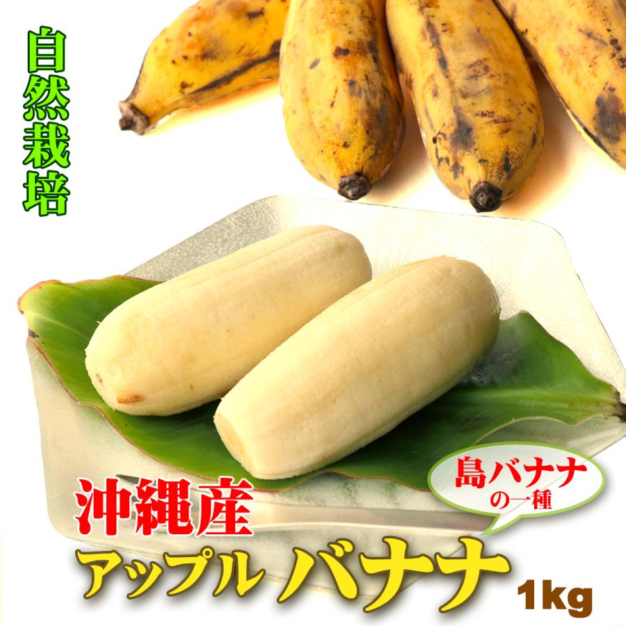 沖繩産アップルバナナ１０キロ 楽天市場】【即発送可・送料無料】沖縄県産アップルバナナフルーツ