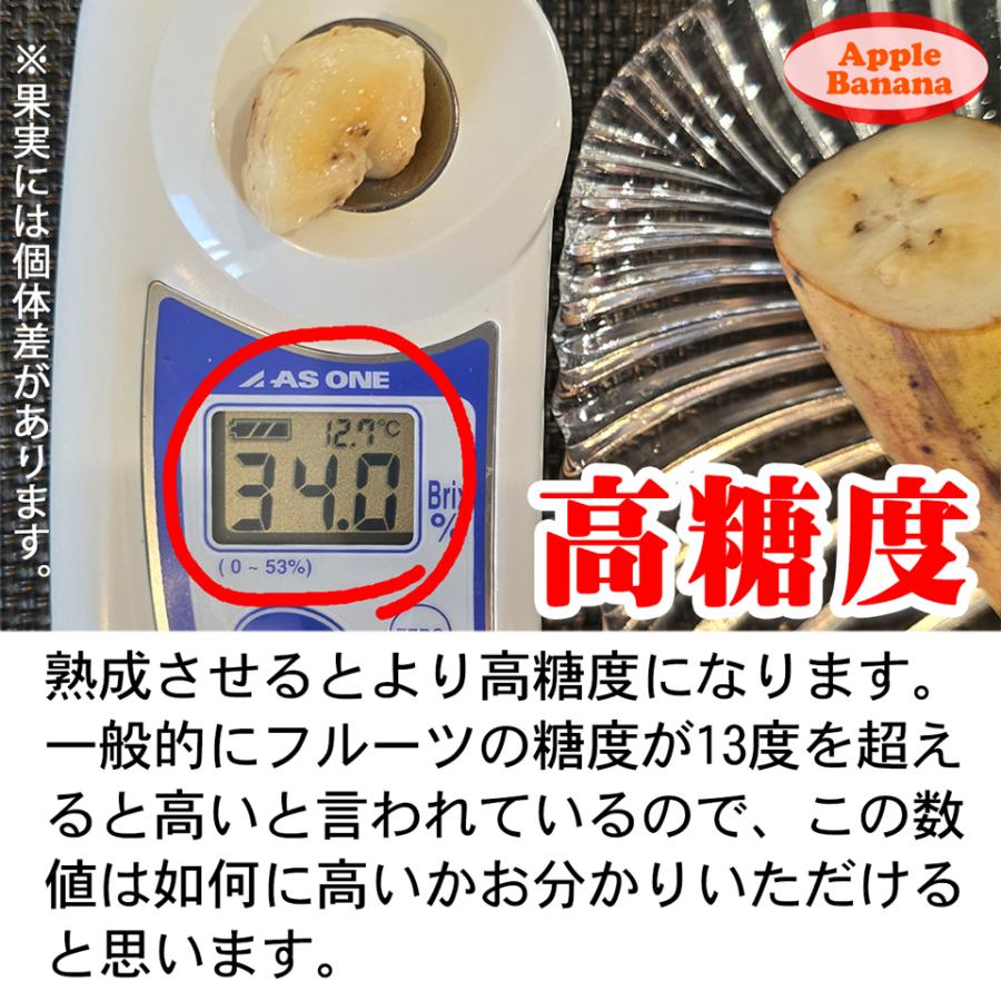 沖縄県 自然栽培 島バナナ アップルバナナ 約1kg 送料無料 国産 ギフト お取り寄せ グルメ プレゼント お中元 高級 夏 果物 くだもの フルーツ 贈答 贈物 お供え |  | 05