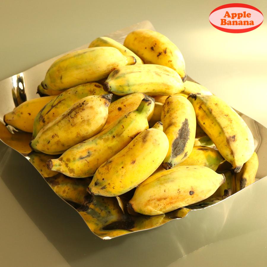 沖縄県 自然栽培 島バナナ アップルバナナ 約1kg 送料無料 国産 ギフト お取り寄せ グルメ プレゼント お中元 高級 夏 果物 くだもの フルーツ 贈答 贈物 お供え |  | 12