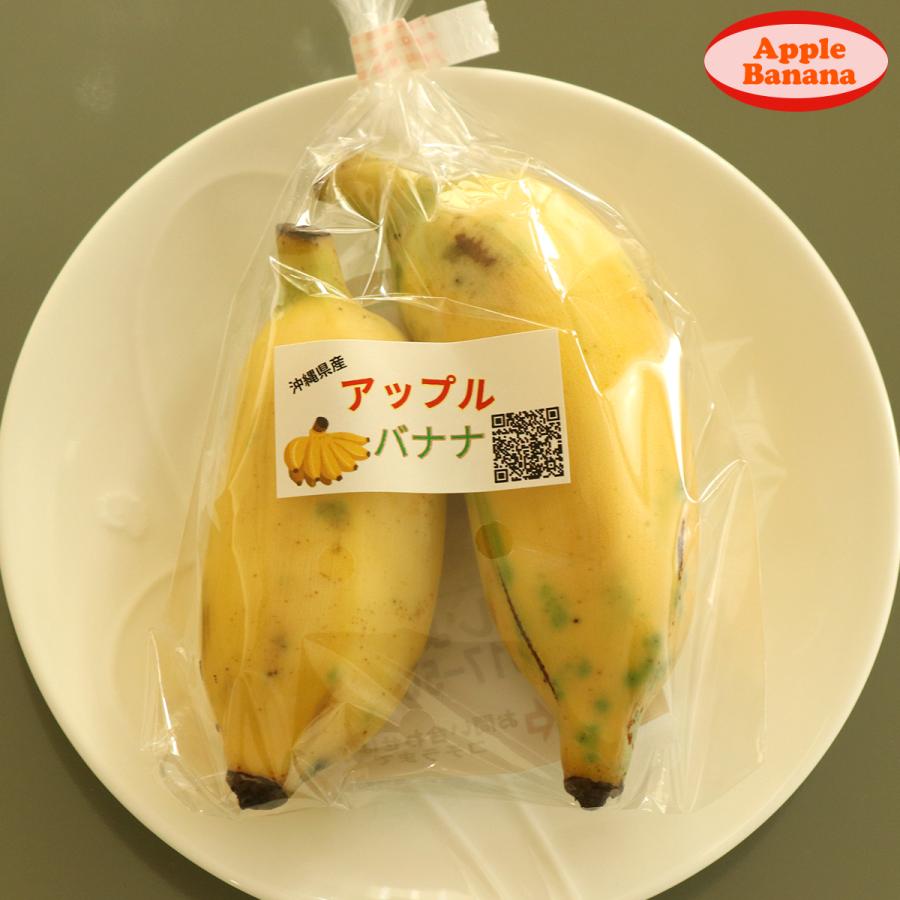 沖縄県 自然栽培 島バナナ アップルバナナ 約1kg 送料無料 国産 ギフト