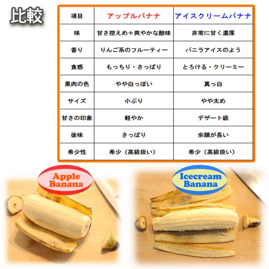 沖縄県 自然栽培 島バナナ アップルバナナ 約1kg 送料無料 国産 ギフト お取り寄せ グルメ プレゼント お中元 高級 夏 果物 くだもの フルーツ 贈答 贈物 お供え |  | 14