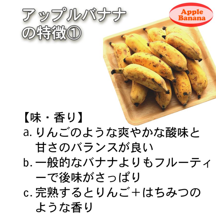 沖縄県 自然栽培 島バナナ アップルバナナ 約1kg 送料無料 国産 ギフト お取り寄せ グルメ プレゼント お中元 高級 夏 果物 くだもの フルーツ 贈答 贈物 お供え |  | 06