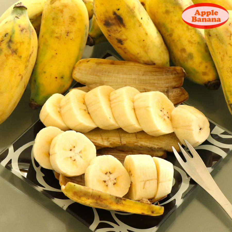 沖縄県 自然栽培 島バナナ アップルバナナ 約1kg 送料無料 国産 ギフト お取り寄せ グルメ プレゼント お中元 高級 夏 果物 くだもの フルーツ 贈答 贈物 お供え |  | 02