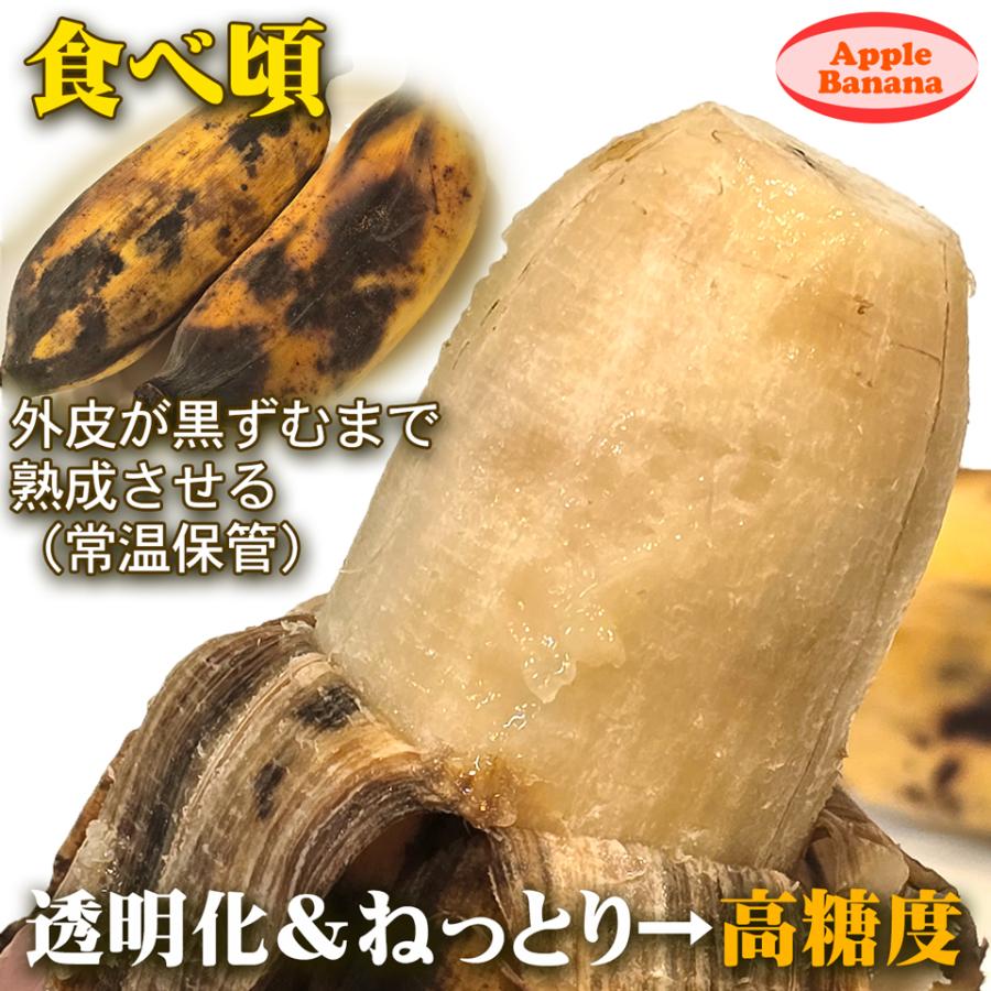 沖縄県 自然栽培 島バナナ アップルバナナ 約1kg 送料無料 国産 ギフト お取り寄せ グルメ プレゼント お中元 高級 夏 果物 くだもの フルーツ 贈答 贈物 お供え |  | 04