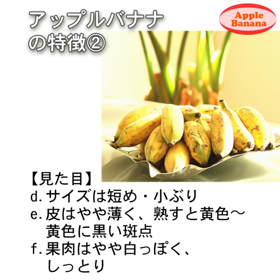 沖縄県 自然栽培 島バナナ アップルバナナ 約1kg 送料無料 国産 ギフト お取り寄せ グルメ プレゼント お中元 高級 夏 果物 くだもの フルーツ 贈答 贈物 お供え |  | 07