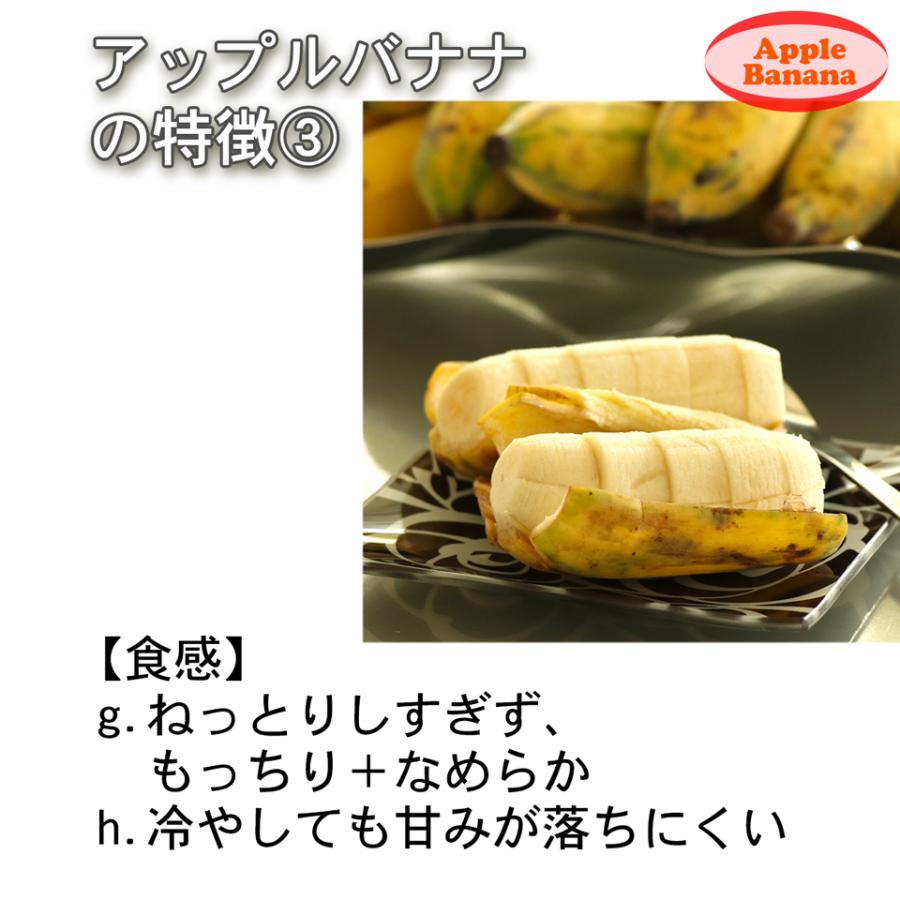 沖縄県 自然栽培 島バナナ アップルバナナ 約1kg 送料無料 国産 ギフト