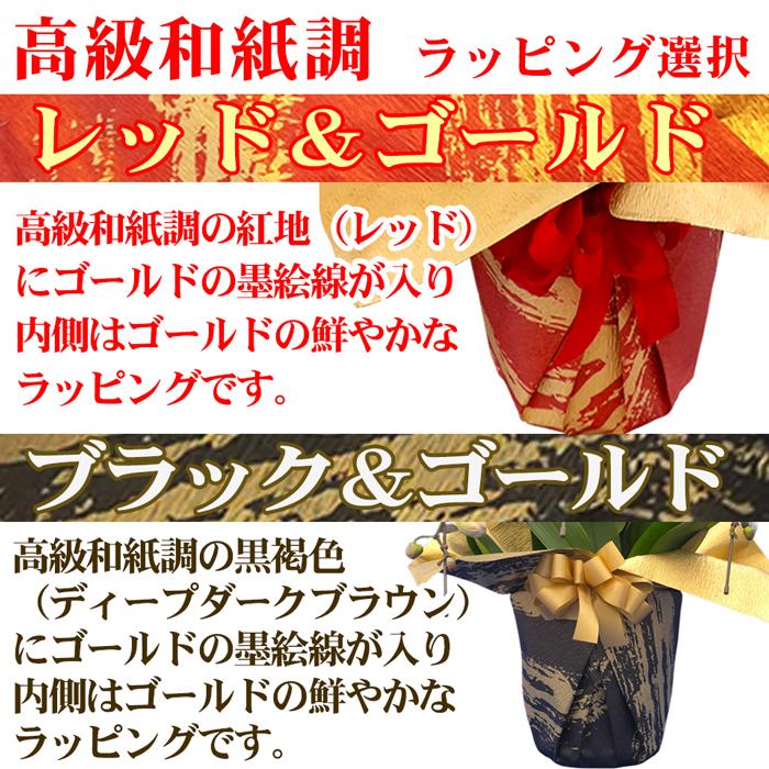 お祝い花 献上認定 胡蝶蘭 大輪 3本立ち 立て札付 40輪以上 開店祝い お花 開業祝い 開院 就任祝い 周年祝い 開店祝い 胡蝶蘭 法人 ギフト あすつく 送料無料_10