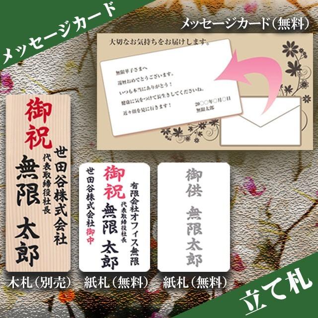 胡蝶蘭 3本立ち 大輪 41輪以上 開店祝い 就任祝い 移転祝い 周年祝い 祝 開店 開業 祝い 開院 開業 移転 周年 誕生日 蘭 お祝い 花 ギフト あすつく 送料無料_20