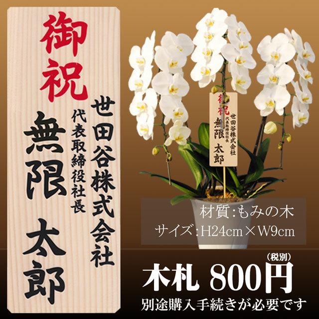 公式の店舗 胡蝶蘭 3本立ち 大輪 41輪以上 送料無料 白 お祝い 開店 祝い 開院 開業 就任 移転 御祝 祝 お祝 誕生日 選挙 蘭 洋ラン お供え フラワー ギフト 花 プレゼント whitesforracialequity.org 公式の店舗 胡蝶蘭 3本立ち 大輪 41輪以上 送料無料 白 お祝い 開店 祝い 開院 開業 就任 移転 御祝 祝 お祝 誕生日 選挙 蘭 洋ラン お供え フラワー ギフト 花 プレゼント whitesforracialequity.org