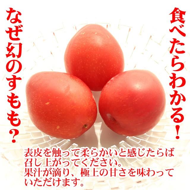 すもも 月光 中玉(L〜2L)×11〜15玉 約1kg 送料無料 幻のすもも 山形 李