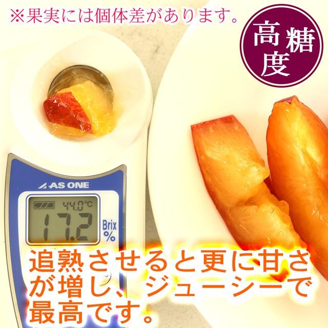 すもも 月光 中玉(L〜2L)×11〜15玉 約1kg 送料無料 幻のすもも 山形 李