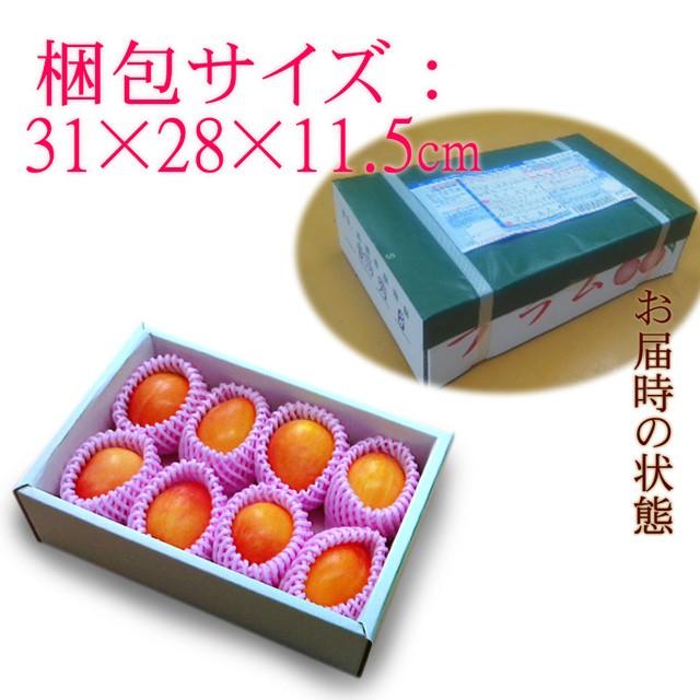 すもも 月光 中玉(L〜2L)×11〜15玉 約1kg 送料無料 幻のすもも 山形 李