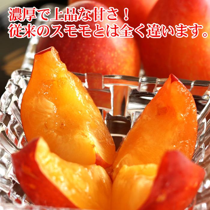 ꒰ა紅葉໒꒱　　山形県産 すもも 月光 5kg❗️ すもも 月光 中玉(L〜2L)×11〜15玉 約1kg 送料無料 幻のすもも 山形 李