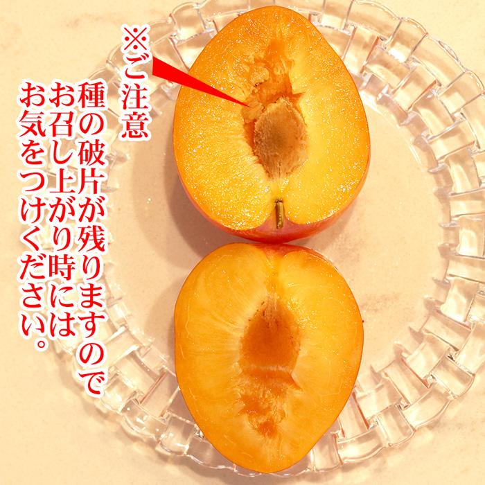 すもも 月光 中玉(L〜2L)×11〜15玉 約1kg 送料無料 幻のすもも 山形 李