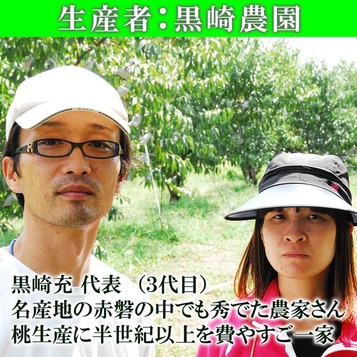 はなよめ 白桃 中玉 約1.3kg(約220g×6個) お中元 御中元 送料無料 ギフト 岡山県 産直 プレミアム 桃 もも ピーチ 果物 くだもの フルーツ プレゼント 贈答 |  | 06