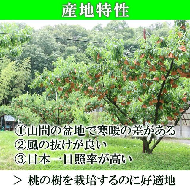 はなよめ 白桃 中玉 約1.3kg(約220g×6個) お中元 御中元 送料無料 ギフト 岡山県 産直 プレミアム 桃 もも ピーチ 果物 くだもの フルーツ プレゼント 贈答 |  | 07