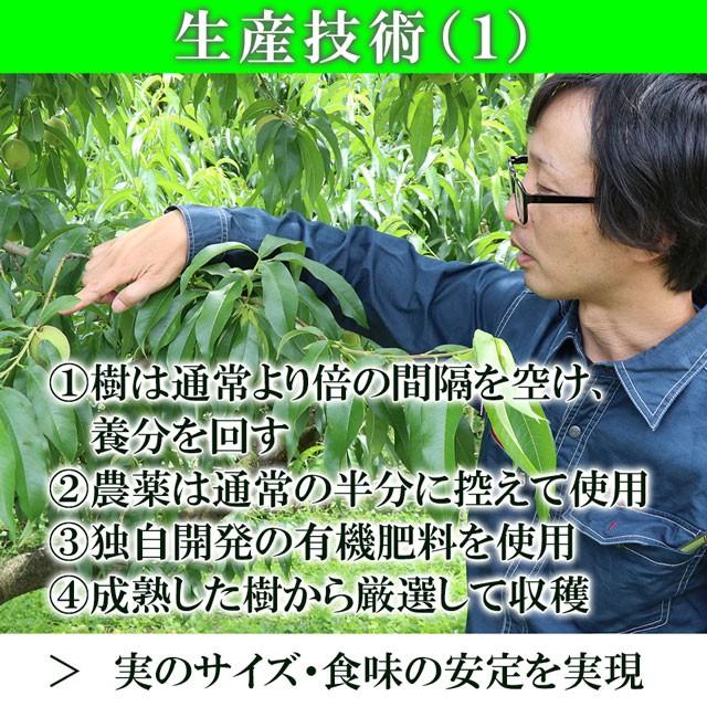 はなよめ 白桃 中玉 約1.3kg(約220g×6個) お中元 御中元 送料無料 ギフト 岡山県 産直 プレミアム 桃 もも ピーチ 果物 くだもの フルーツ プレゼント 贈答 |  | 08