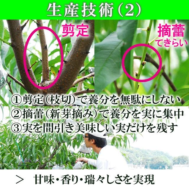 はなよめ 白桃 中玉 約1.3kg(約220g×6個) お中元 御中元 送料無料 ギフト 岡山県 産直 プレミアム 桃 もも ピーチ 果物 くだもの フルーツ プレゼント 贈答 |  | 09