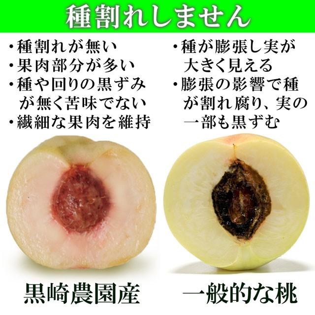 はなよめ 白桃 小玉 約1.4kg(約180g×8個) お中元 御中元 送料無料 ギフト 岡山県 産直 プレミアム 桃 もも ピーチ 果物 くだもの フルーツ プレゼント 贈答 |  | 05