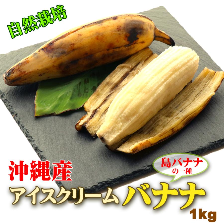 エンジェル　アイスクリームバナナ 5本セット 沖縄 島バナナ 自然栽培 アイスクリーム バナナ 約1kg ギフト お