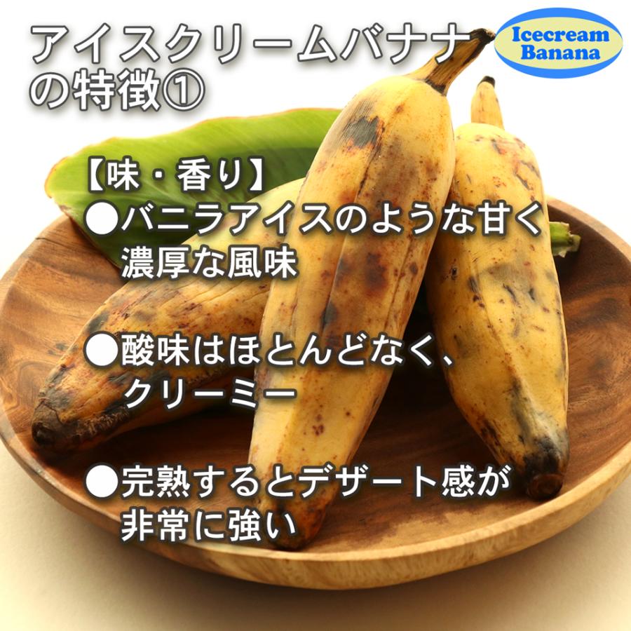 沖縄 島バナナ 自然栽培 アイスクリーム バナナ 約1kg ギフト お