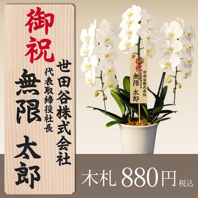 蘭のフレンズ 高級木札（材質：モミの木） : 農ブランドYahoo!ショップ
