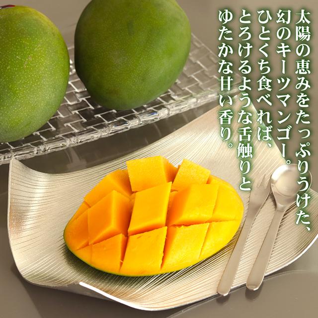 キーツ マンゴー 約2kg(2〜3玉) 沖縄県 ギフト プレゼント お取り寄せ