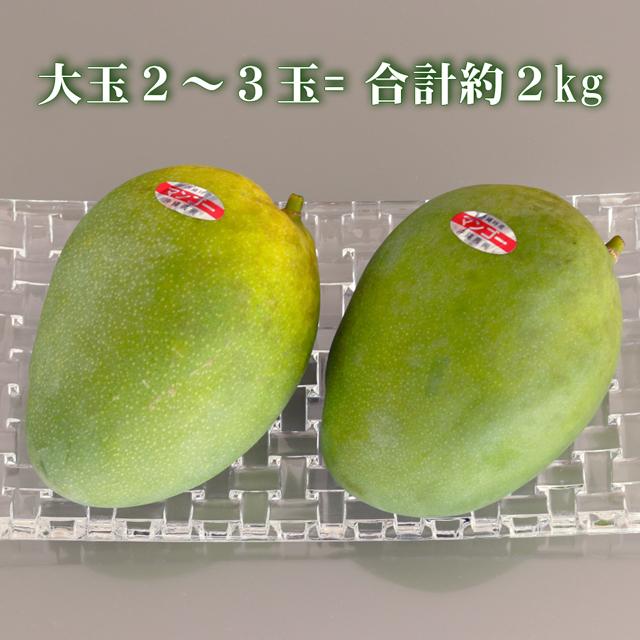 キーツ マンゴー 約2kg(2〜3玉) 沖縄県 ギフト プレゼント お取り寄せ