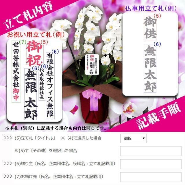 胡蝶蘭 ミディ 2本立ち 18輪以上 ピンク 開店祝い ギフト 送料無料 プレゼント 仕様 花 ミニ 開店祝い 誕生日 開店 開業 移転 周年 お祝い 蘭 御祝 胡蝶蘭｜no-brand｜20