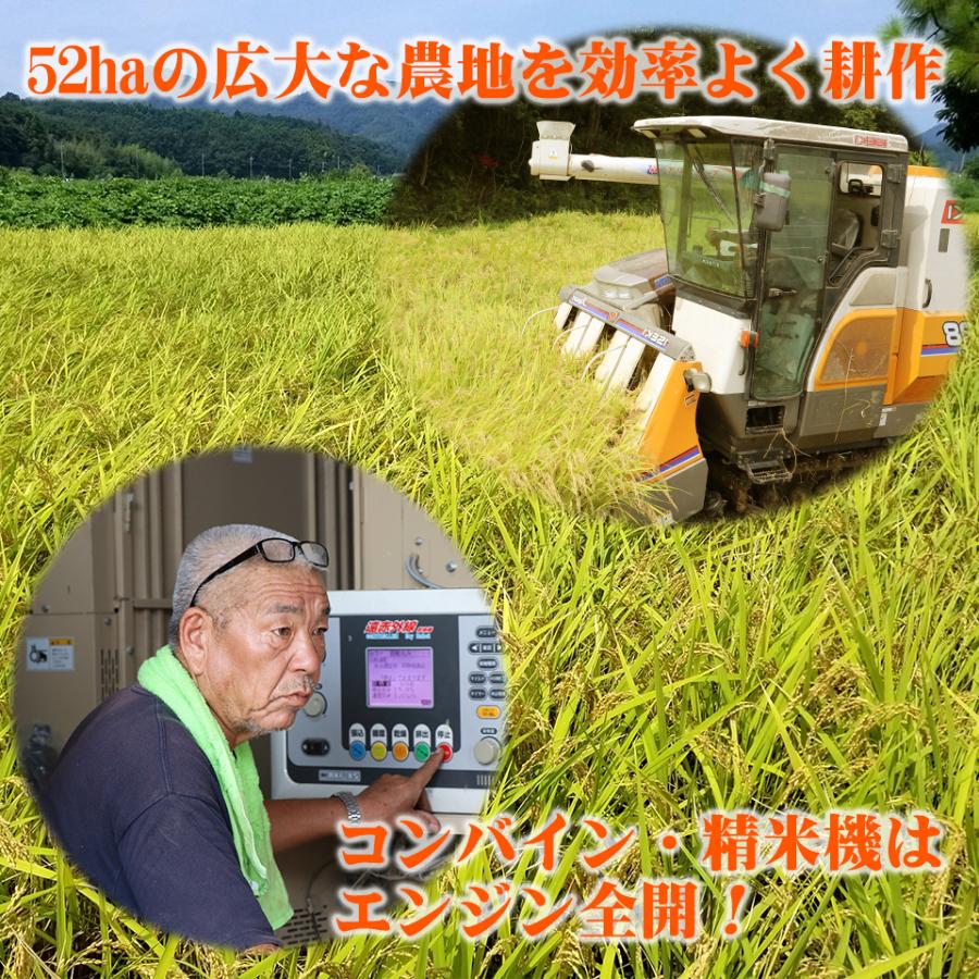 ミルキークイーン 新米 令和8年産 10kg 栃木県 米 送料無料 名水百選の