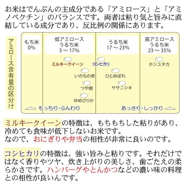 ミルキークイーン 令和7年産 栃木県 米 10kg 送料無料 名水百選の