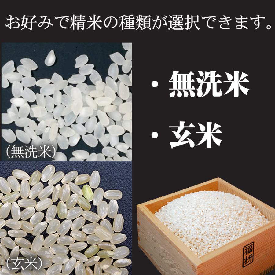 ミルキークイーン 新米 出荷中 令和8年産 10kg 栃木県 米 送料無料