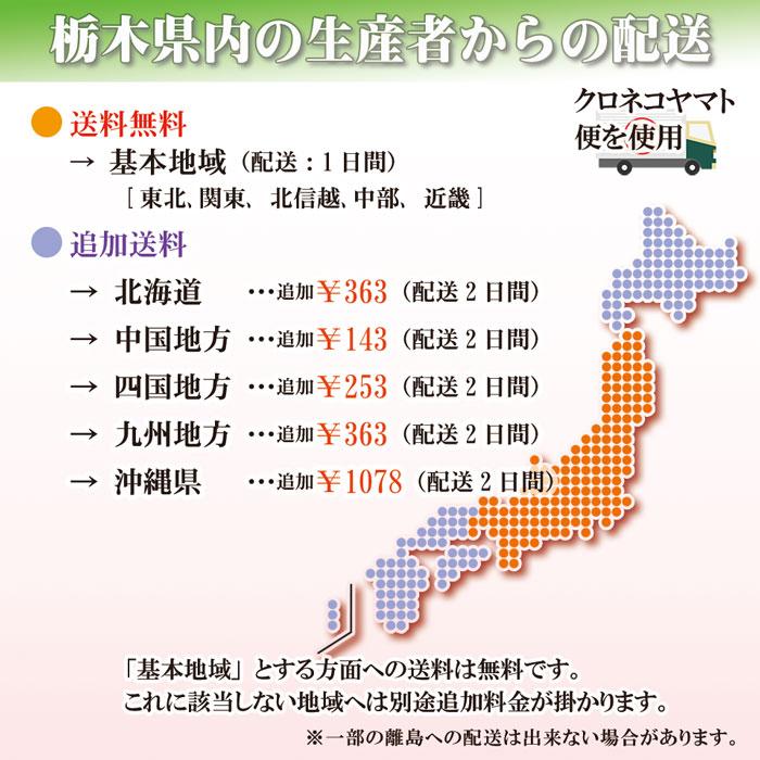 ミルキークイーン 令和7年産 栃木県 10kg 送料無料 名水百選の湧き水