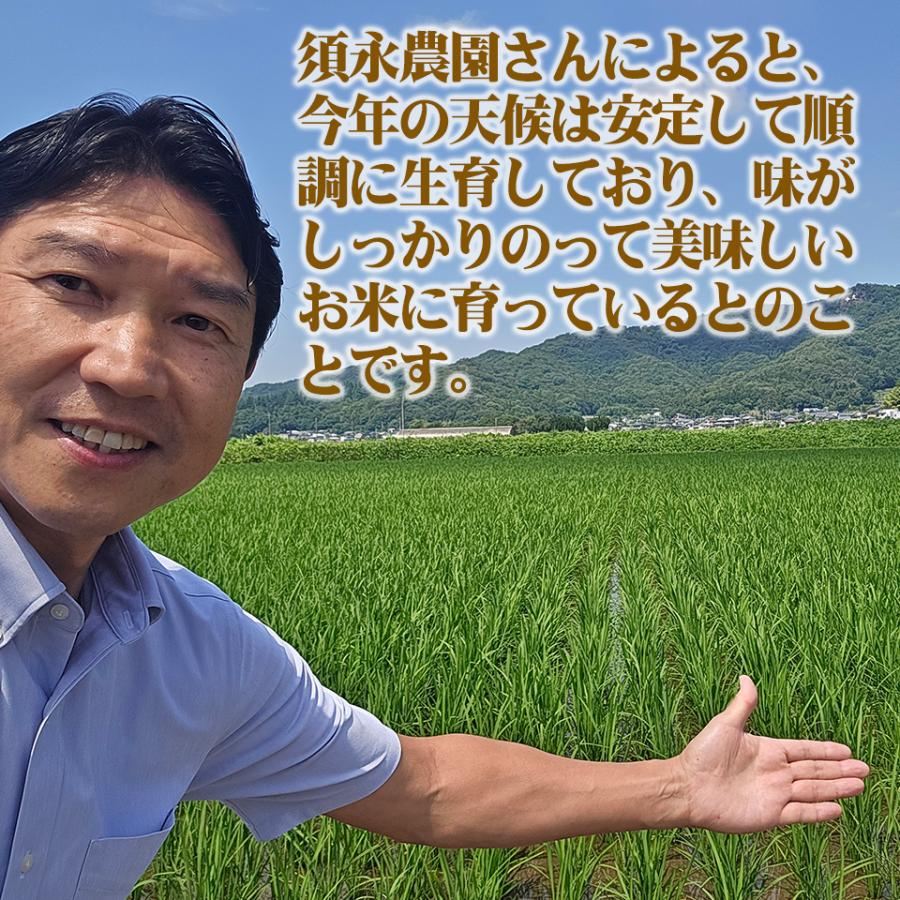 ミルキークイーン 新米 出荷中 5kg 栃木県 令和8年産 名水百選の湧水