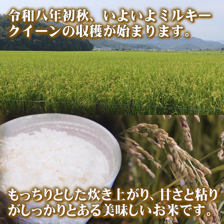 ミルキークイーン 新米 出荷中 5kg 栃木県 令和8年産 名水百選の湧水