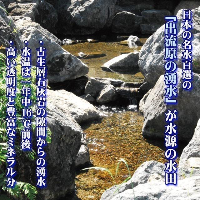 ミルキークイーン 令和7年産 5kg 栃木県 名水百選の湧水使用 米 お米 5