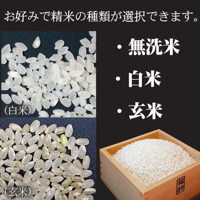 ミルキークイーン 新米 米 お米 5kg 5キロ 玄米 無洗米 白米 ミルキークイーン 新米 米 お米 5kg 5キロ 玄米 無洗米 白米