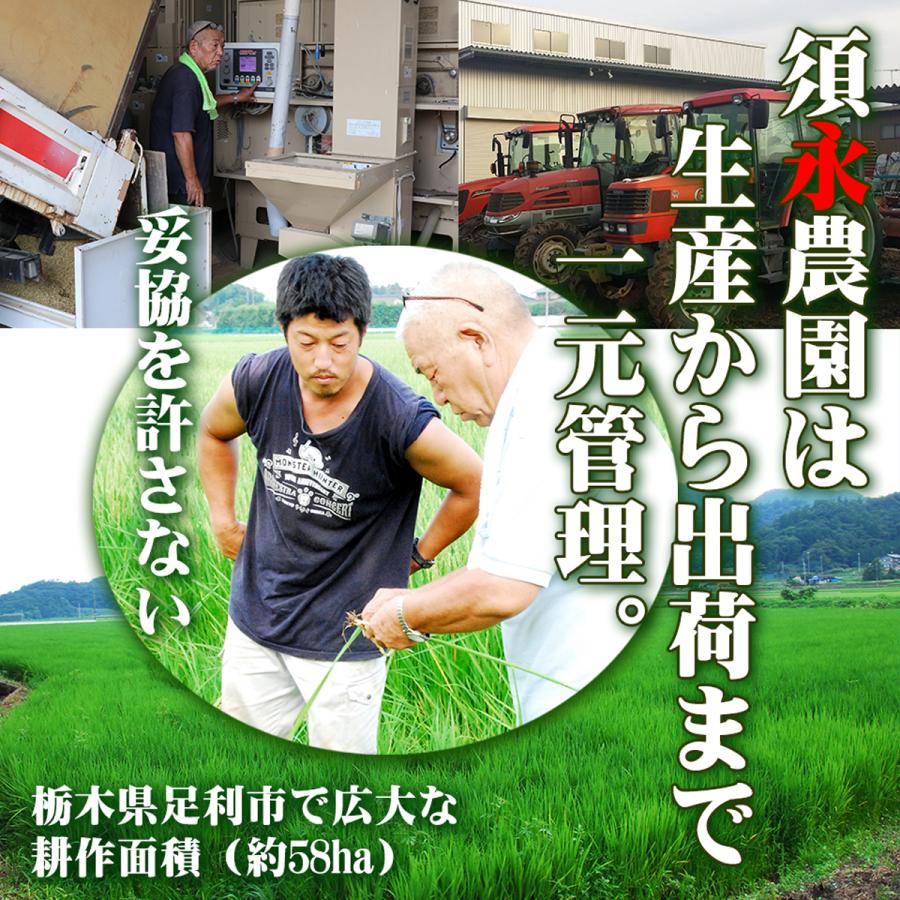 ミルキークイーン 令和7年産 5kg 栃木県 名水百選の湧水使用 米 お米 5