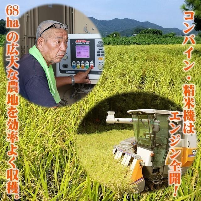 ミルキークイーン 令和7年産 5kg 栃木県 名水百選の湧水使用 米 お米 5