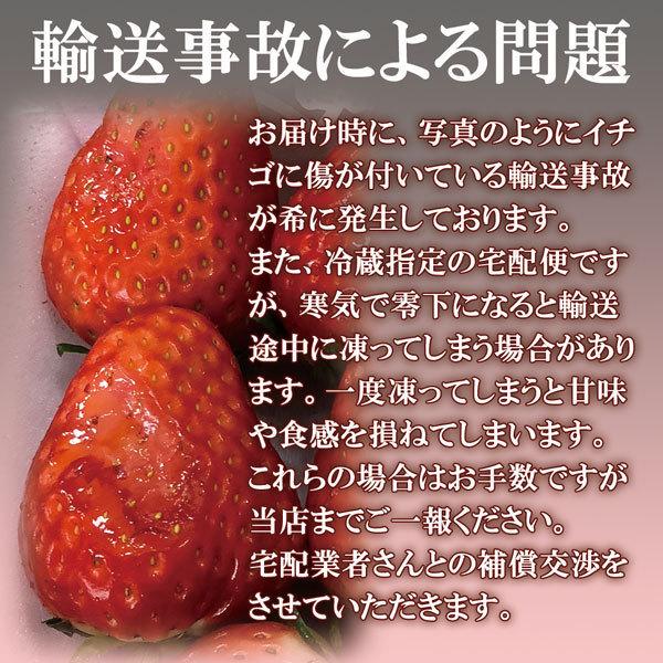 栃木県産 ブランドいちご とちあいか 大粒 約280g×2パック 高 栃木県産 ブランドいちご とちあいか 大粒 約280g×2パック 高