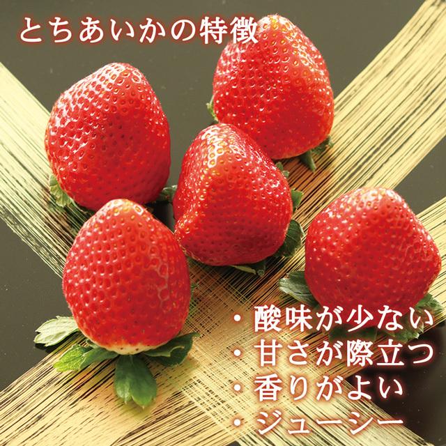 栃木県産 ブランドいちご とちあいか 大粒 約280g×2パック 高 栃木県産 ブランドいちご とちあいか 大粒 約280g×2パック 高