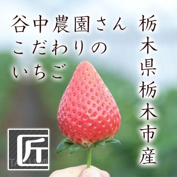 栃木県産 ブランドいちご とちあいか 大粒 約280g×2パック 高 栃木県産 ブランドいちご とちあいか 大粒 約280g×2パック 高
