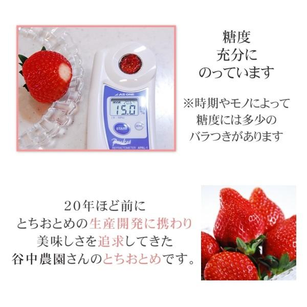 いちご とちおとめ イチゴ プレミアム 約270g×4Pac ギフト プレゼント お年賀 送料無料 苺 栃木県 お取り寄せ グルメ フルーツ 果物 くだもの 内祝 贈答｜no-brand｜05