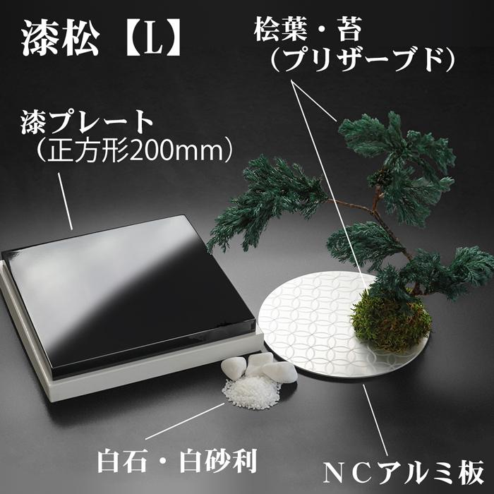 敬老の日 ギフト プリザーブド 盆栽 漆松 Lサイズ 贈答 送料無料 プリザーブドフラワー 苔玉 造花 置物 オブジェ 観葉植物 アーティフィシャルフラワー フェイク |  | 04
