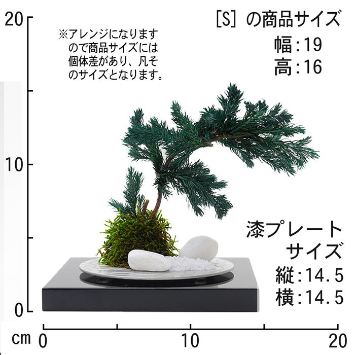 敬老の日 ギフト プリザーブドフラワー 盆栽 置いておくだけ お手入れ不要 漆松 贈答 送料無料 苔玉 造花 置物 オブジェ 観葉植物 フェイクグリーン プレゼント |  | 04