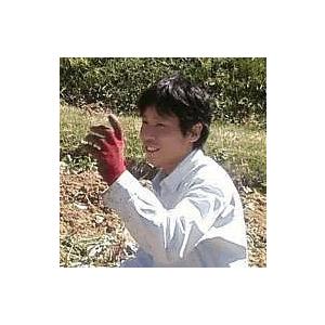 予約販売:紅はるか 20kg(10kg箱×2) 熊本県産 サイズ不選別 送料別/ 益城町 西村さんのさつま芋|no-mark|02