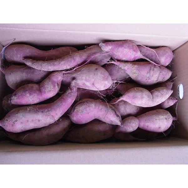 訳あり 新さつま芋 熊本県産 10kg サイズ不選別 送料別/西村さんの紅はるか この時期はホクホクした感じですネ :sinsatu-wk-10k:農園農家直送の店・ノーマーク - 通販 - Yahoo!ショッピング 訳あり 新さつま芋 熊本県産 10kg サイズ不選別 送料別/西村さんの紅はるか この時期はホクホクした感じですネ :sinsatu-wk-10k:農園農家直送の店・ノーマーク - 通販 - Yahoo!ショッピング