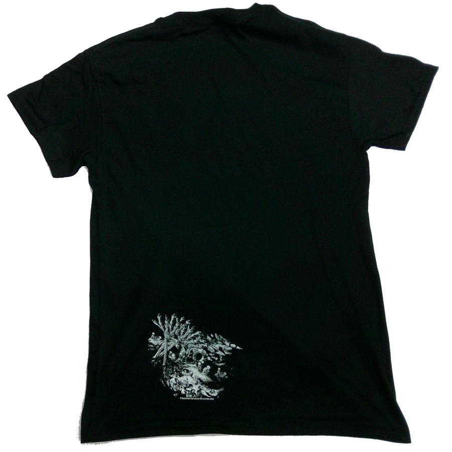 SATYRICON サテリコン オフィシャル TシャツLサイズ ブラックメタル img56936162.jpg