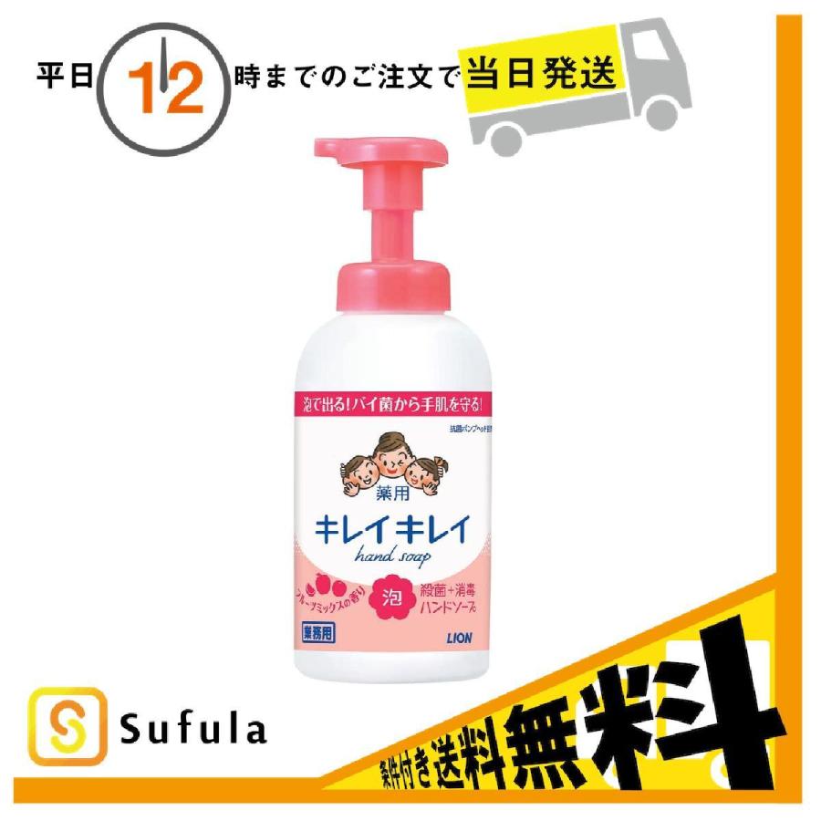 207円 86%以上節約 ライオン キレイキレイ 薬用泡ハンドソープ フルーツミックスの香り 550ml 207円 86%以上節約 ライオン キレイキレイ 薬用泡ハンドソープ フルーツミックスの香り 550ml